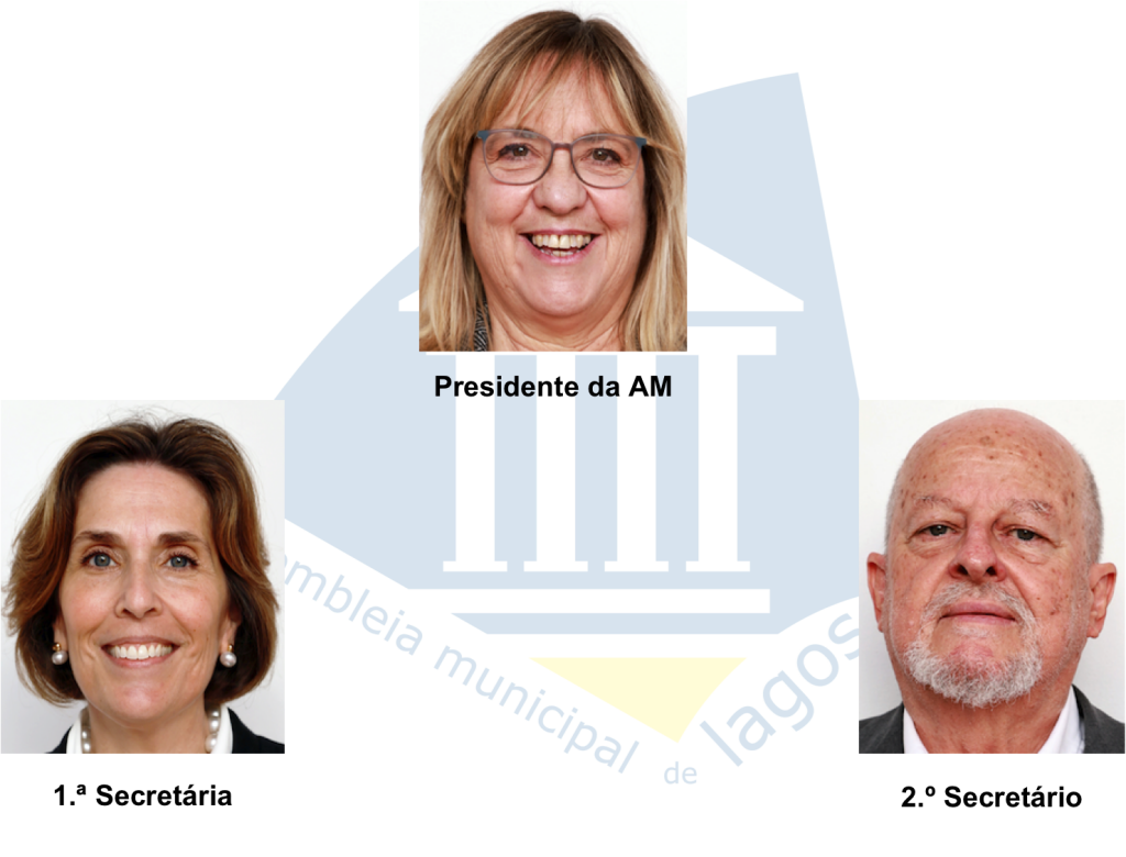 Paula Couto eleita Presidente da Assembleia Municipal